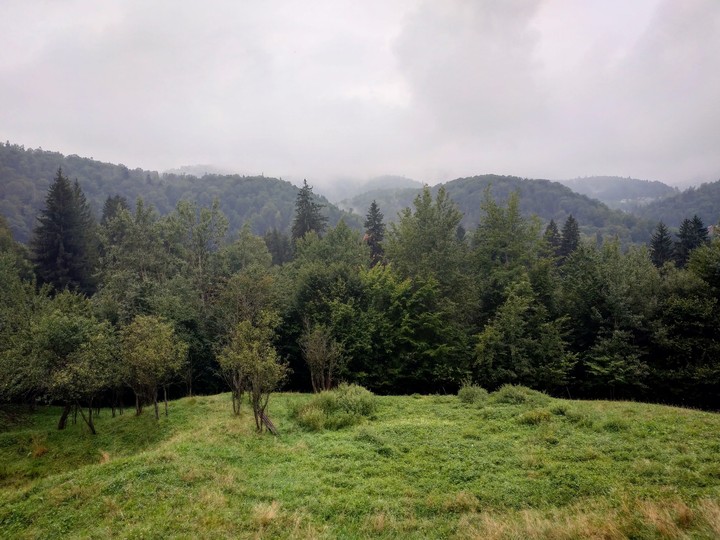 Carpathians