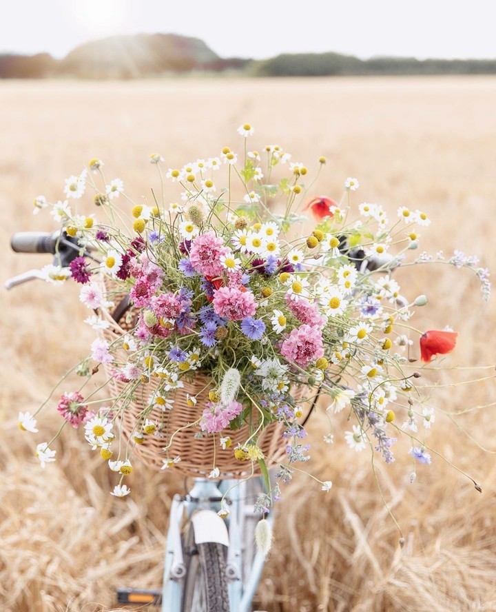 #bouquet