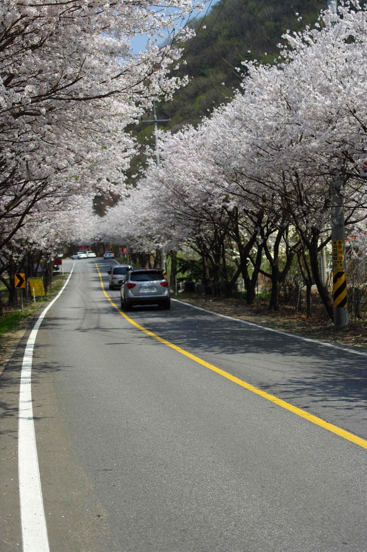Spring