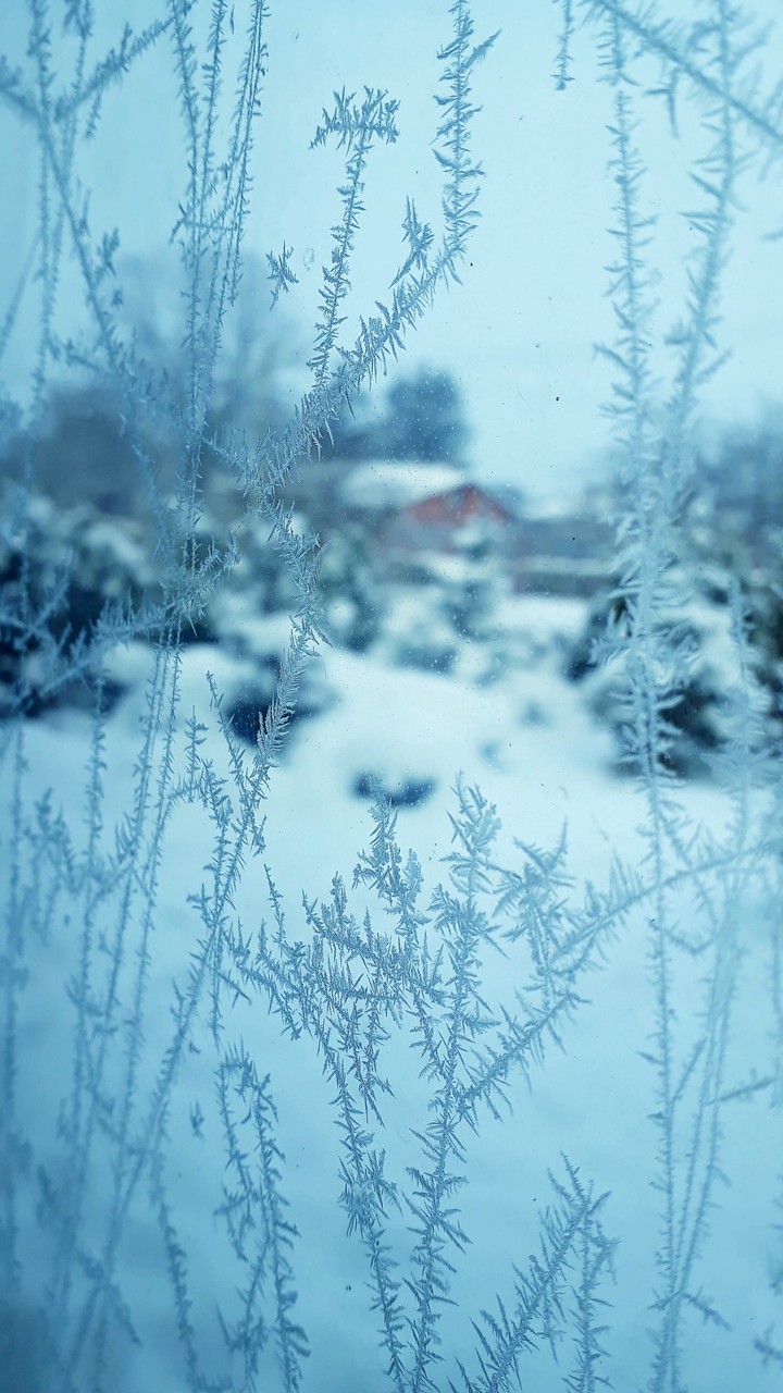 frozen winter