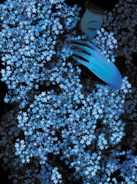 reef, tree duvar kağıtları