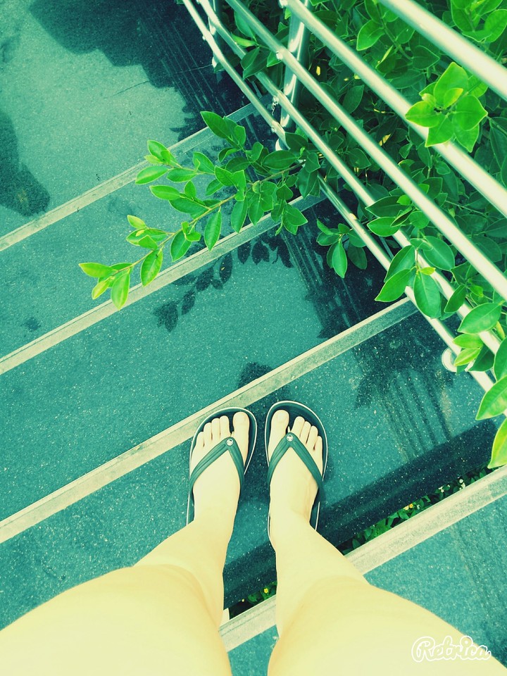 Stairs and trees