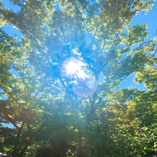 ☀️