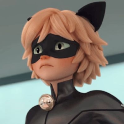 Cat noir