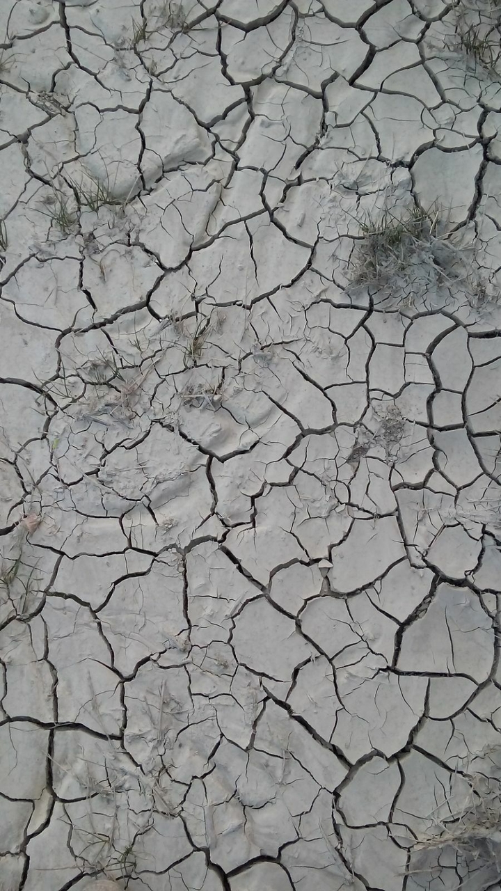 Desert