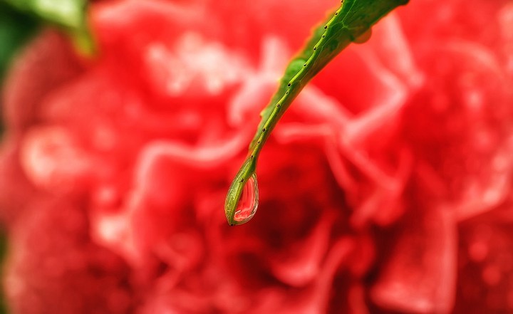 Water drop
