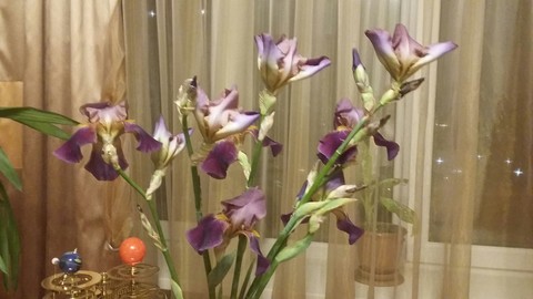 #flowers