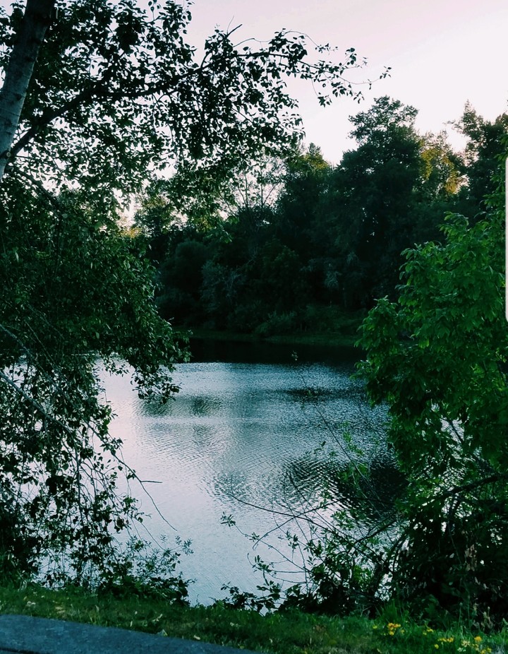 peaceful waters