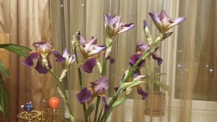 #flowers