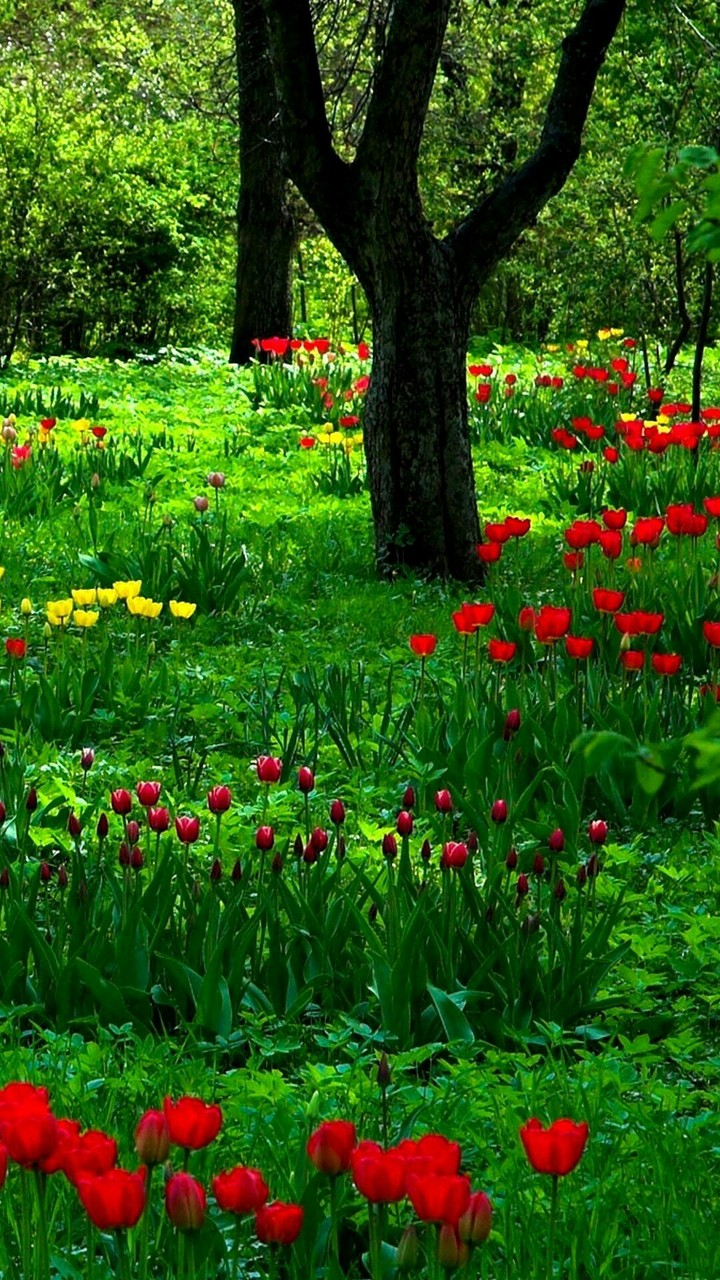 greenery