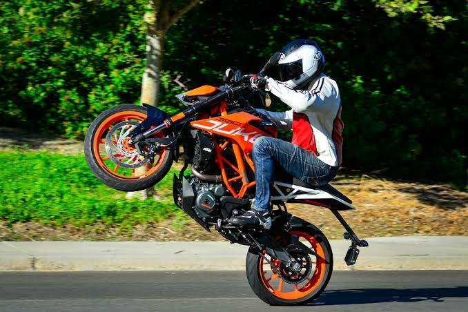 DUKE STUNT