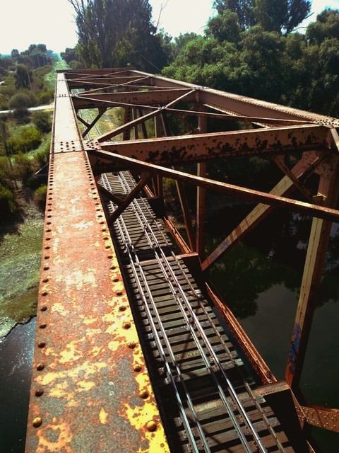 Camino