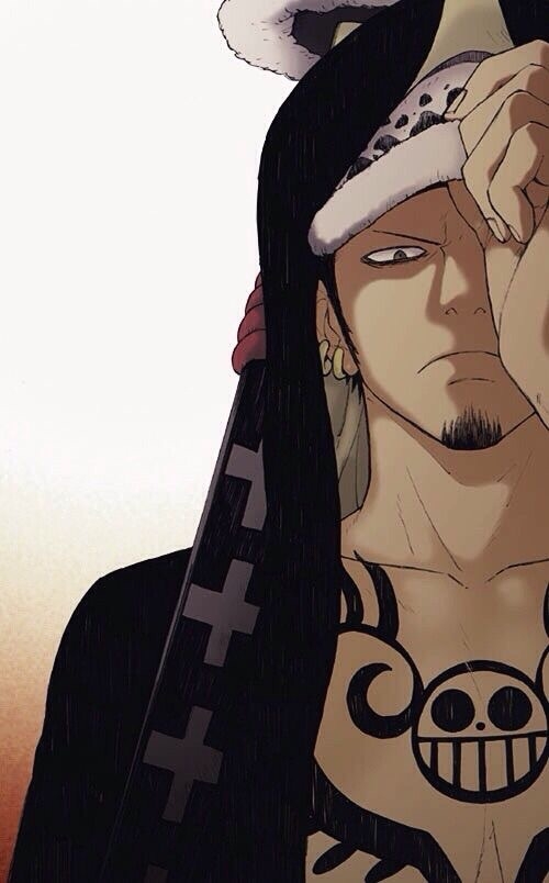 law