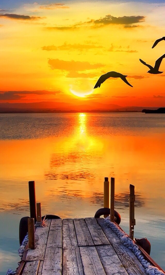 sunset