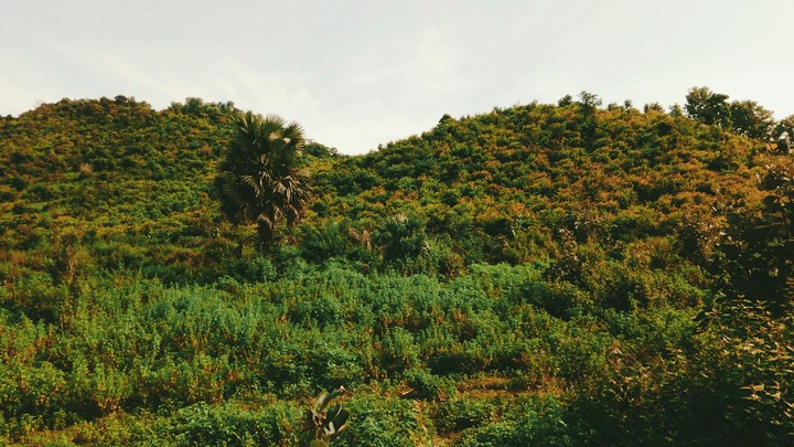 Natural scenery