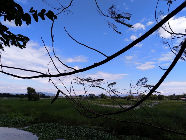 sky