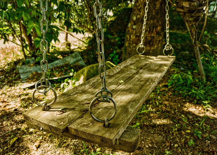 tree swing