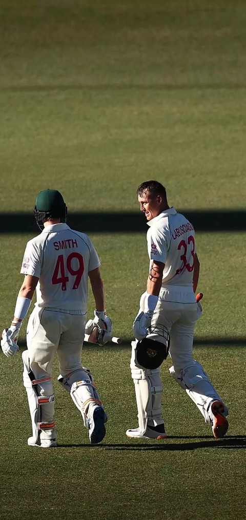 Cricket