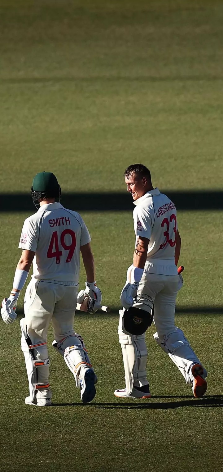 Cricket