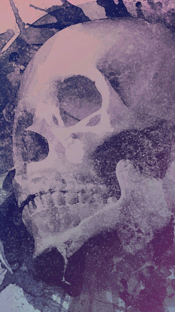 skull