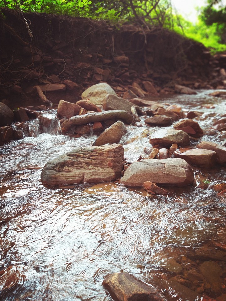 nature