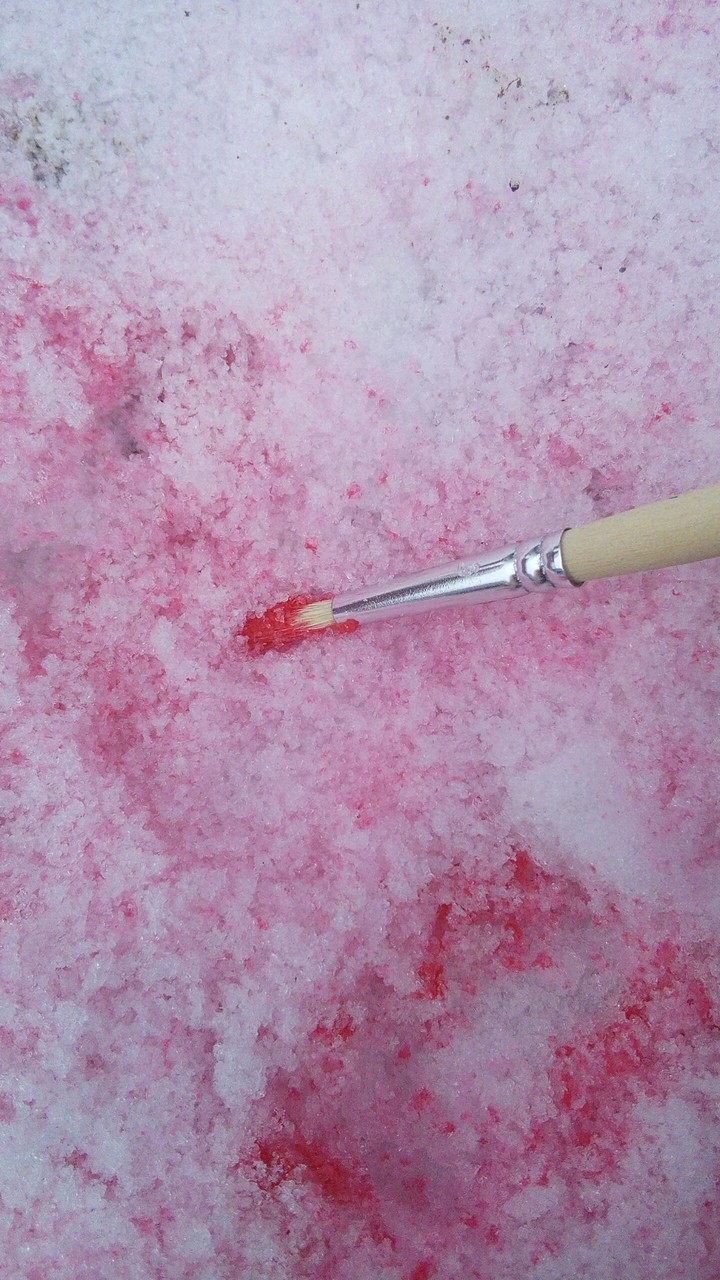 Pink snow❄