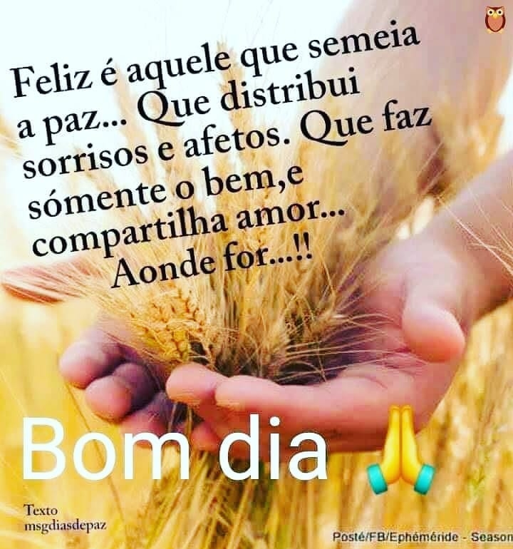 Bom dia