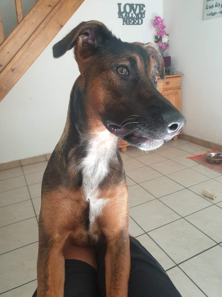 Tyson
