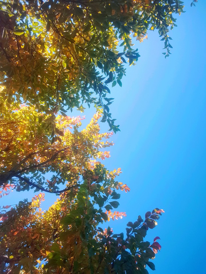 Autumn