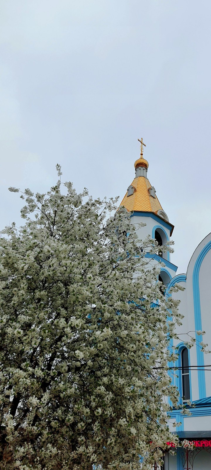 КМА. Краснодар