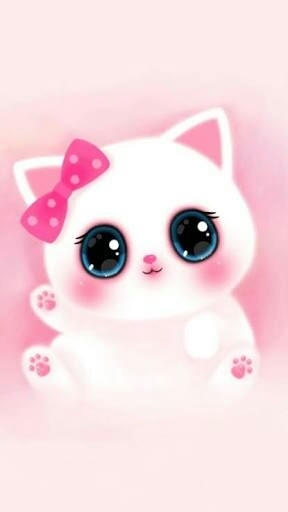 Cutie kitty