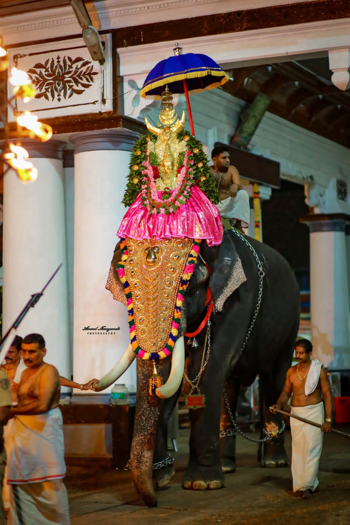 Kerala Temple Festival
