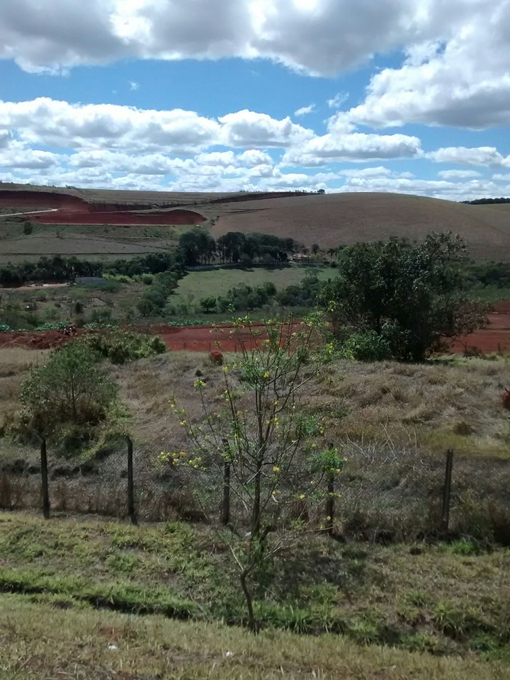dia lindo