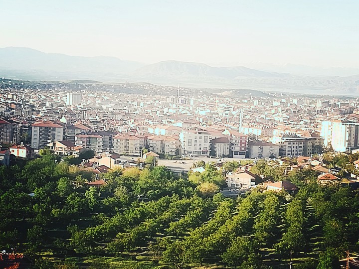 manzara