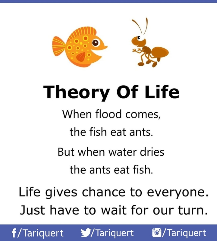 theory of life