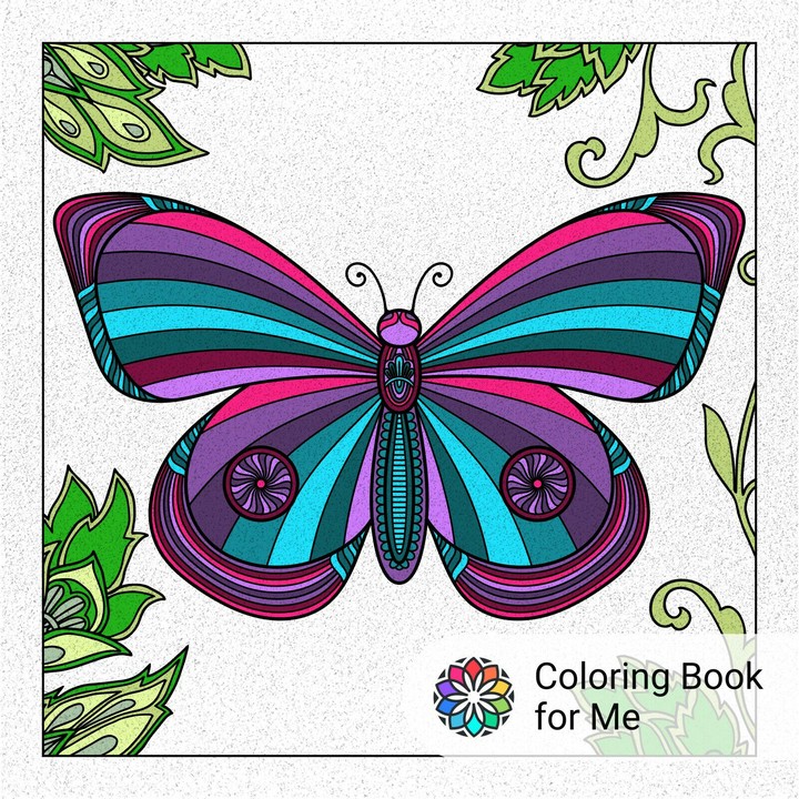 butterfly