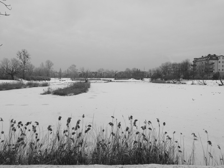 Frozen pond