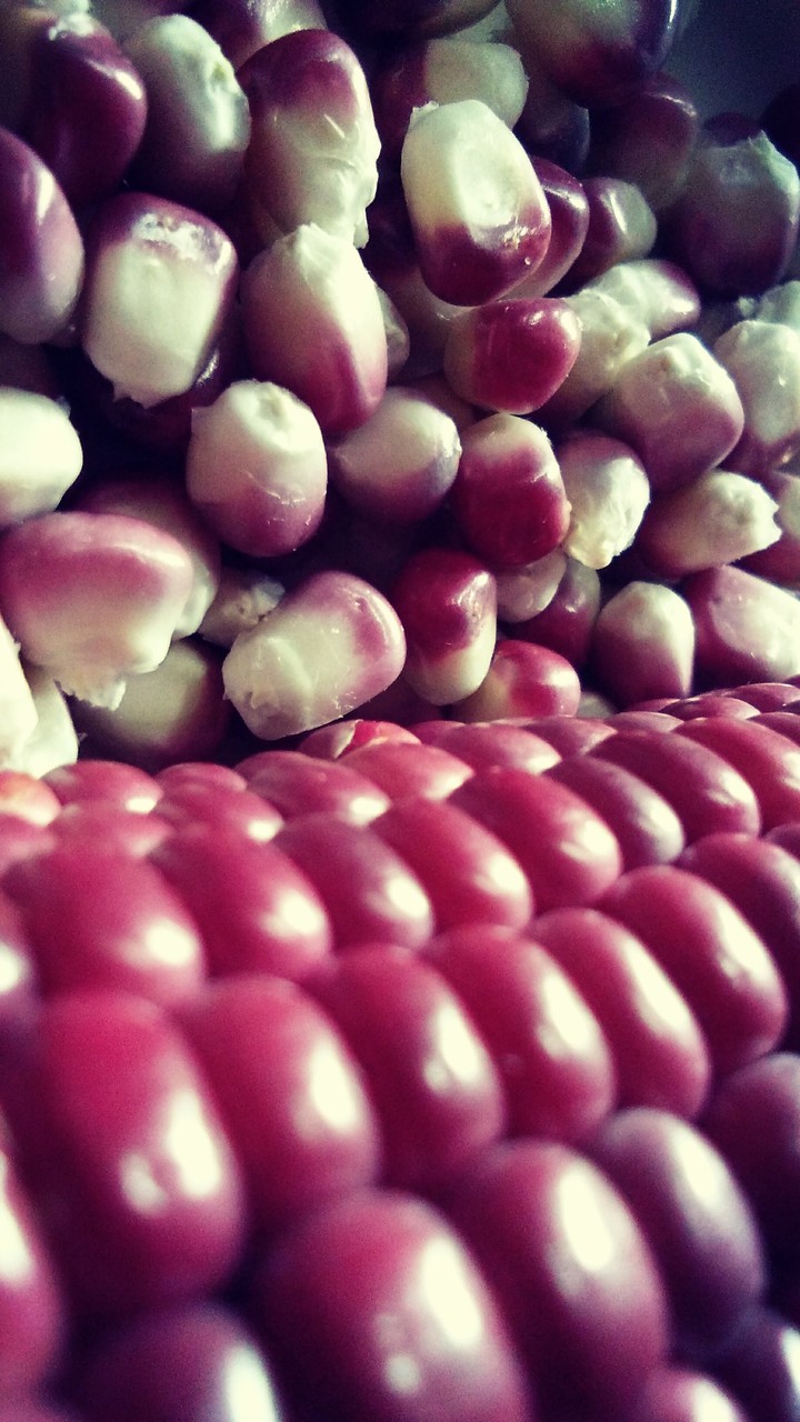 corn