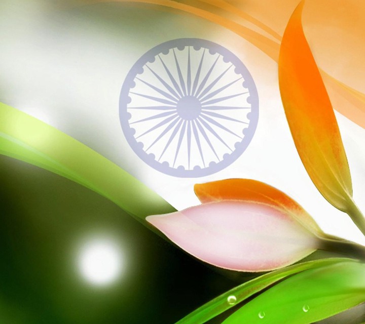 I love my india