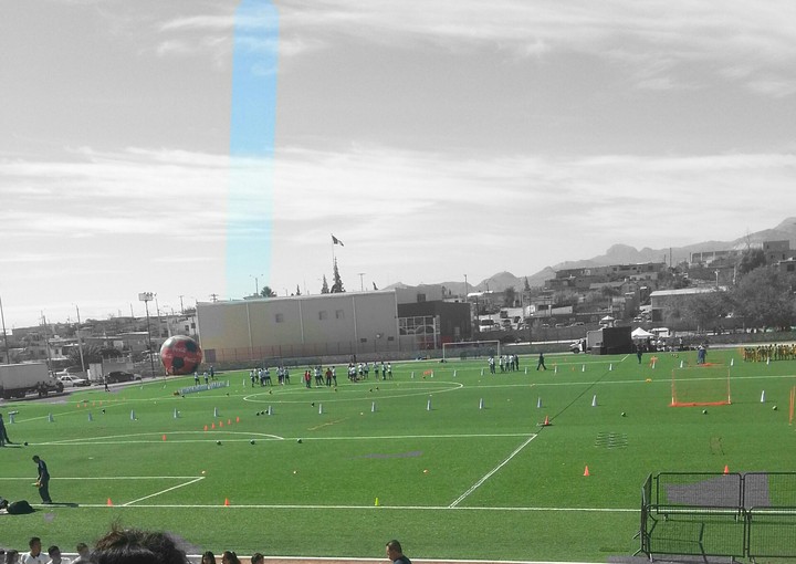 Campo