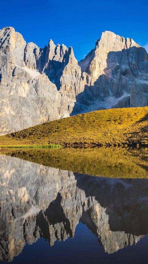 alps, Wilderness achtergronden