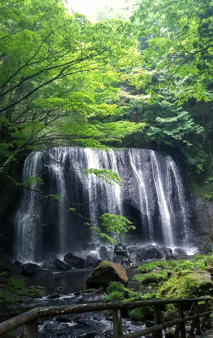 滝