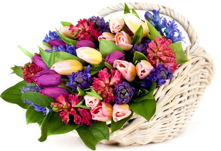 basket flower
