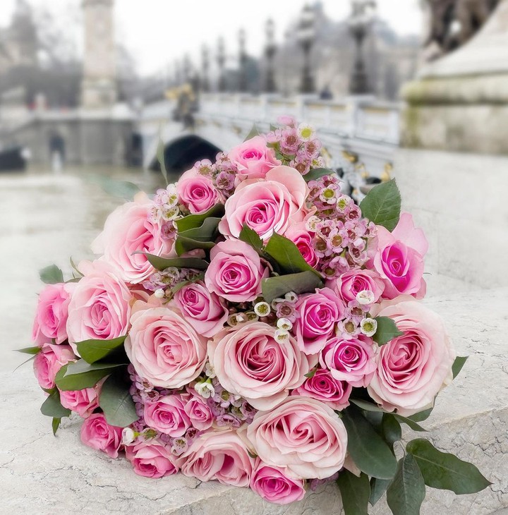 Paris & Buket