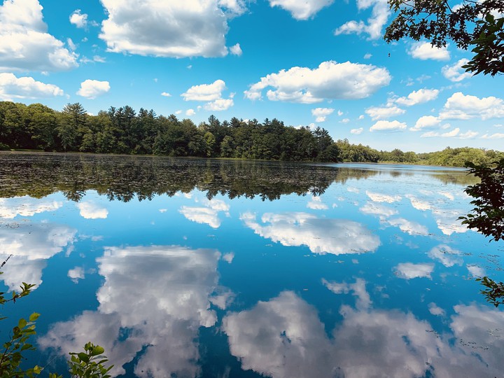 Reflection