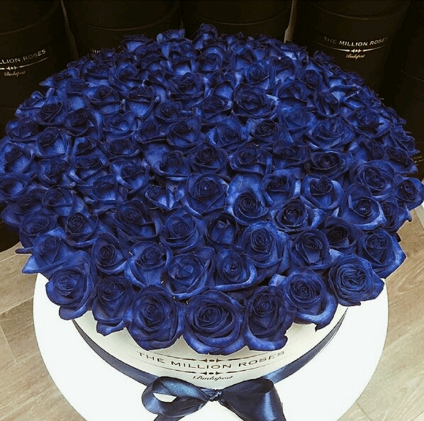 blue_rose