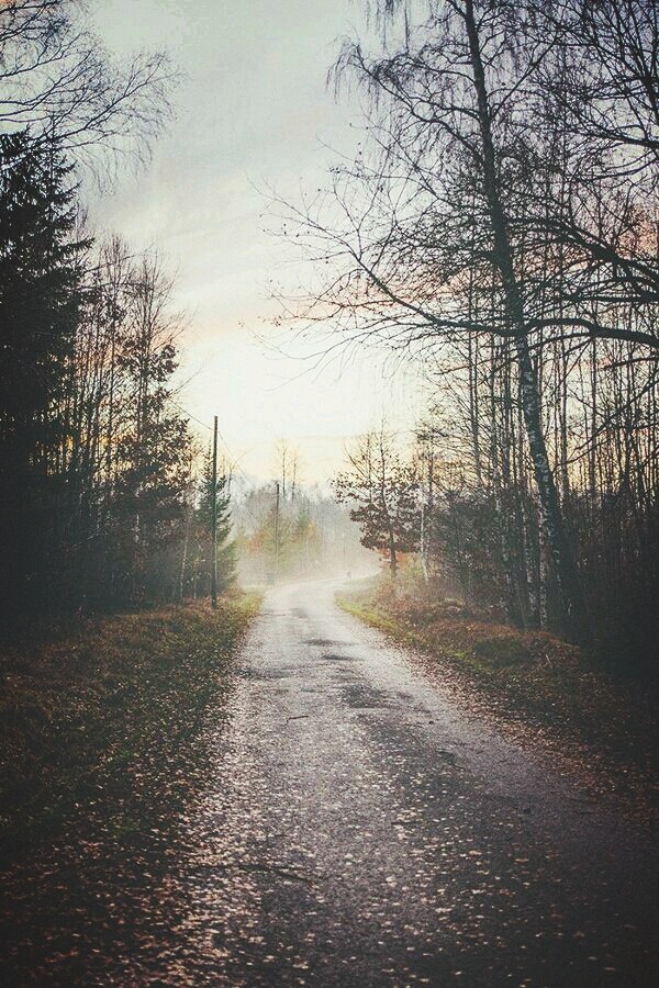 A road to civilization.