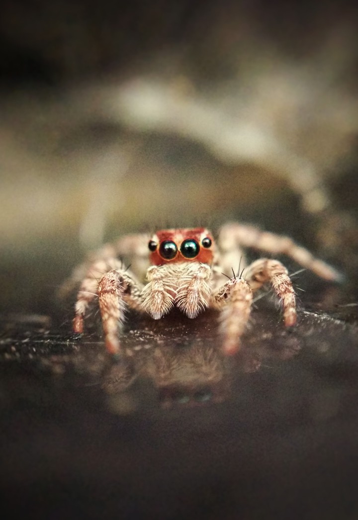 An awesome poser