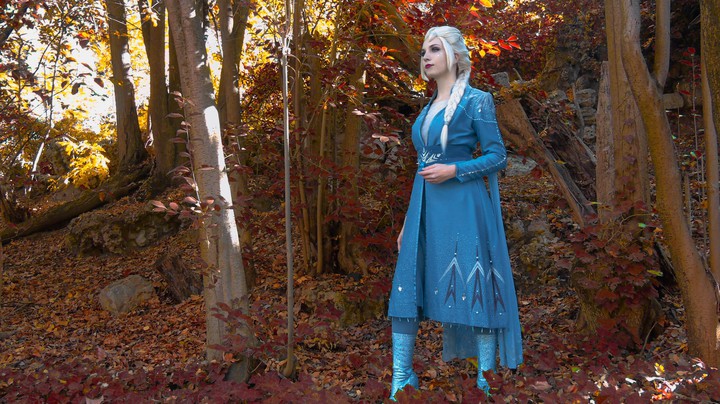 ELSA in the ENCHANTED FOREST