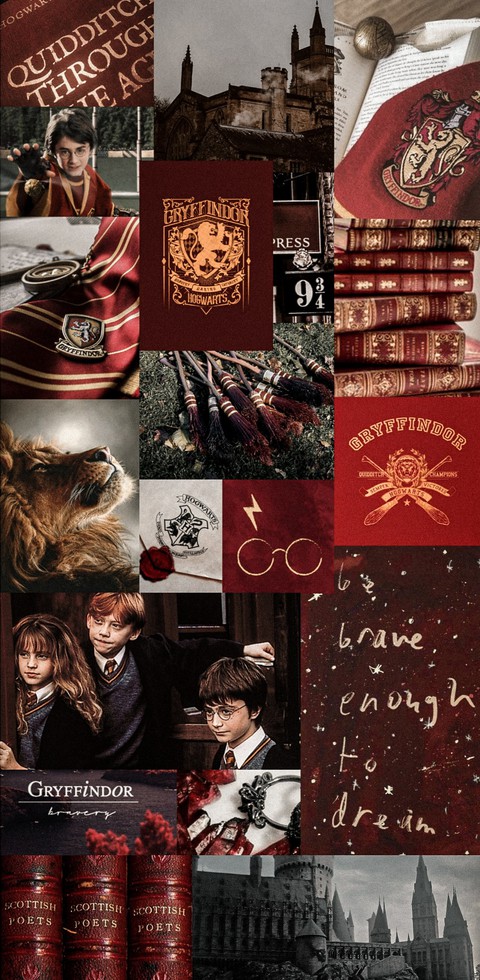 Gryffindor❤️??